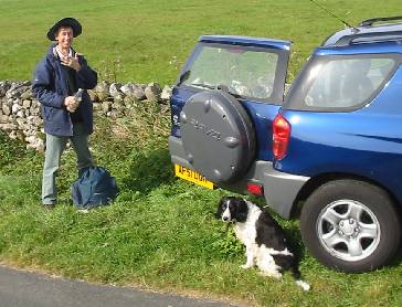 Parking on verge